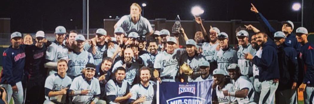 mazinMets's profile banner image