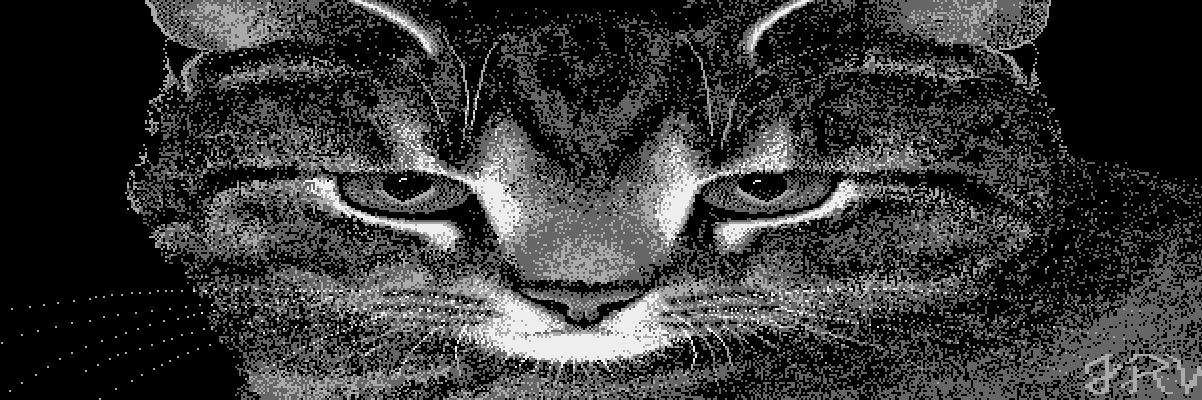 mapquestlove's profile banner image