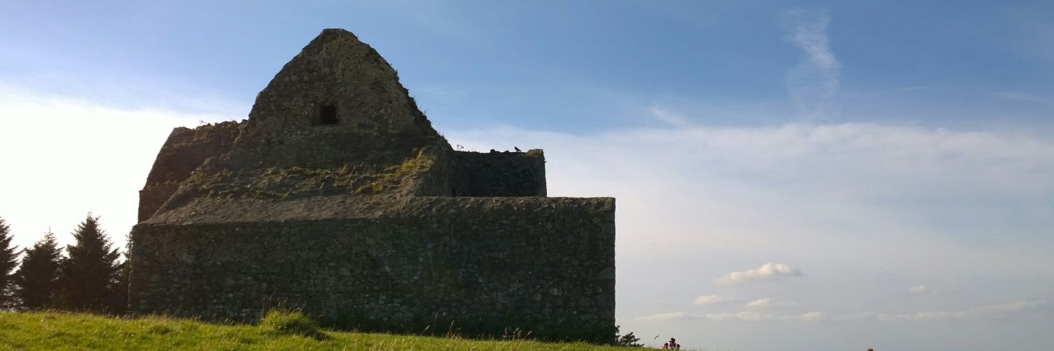 Sarah-Jayne Carey banner