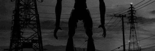 cinssc's profile banner image