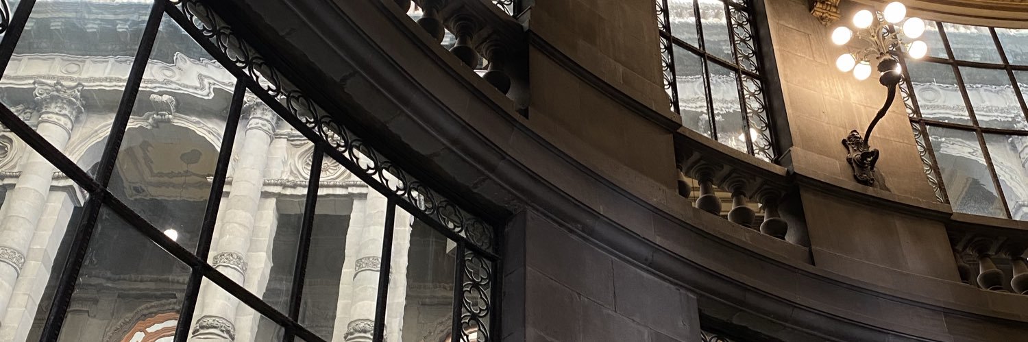 bereAleman_'s profile banner image