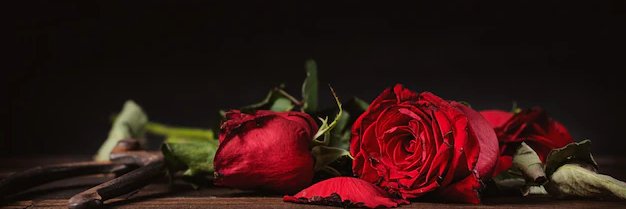 OniiShan_'s profile banner image