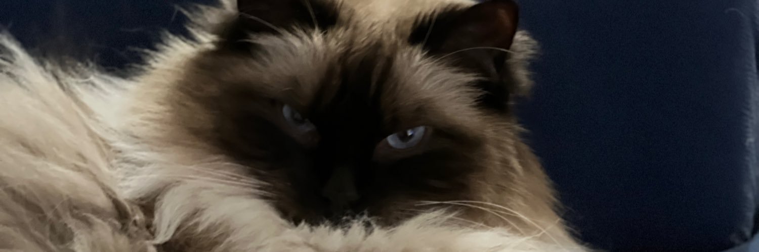 1of2macs's profile banner image