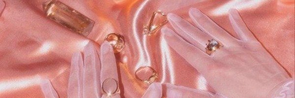 C H O N P S banner