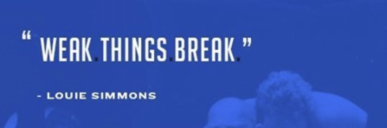 Jarod Haynes M.Ed CSCS, CNDS banner