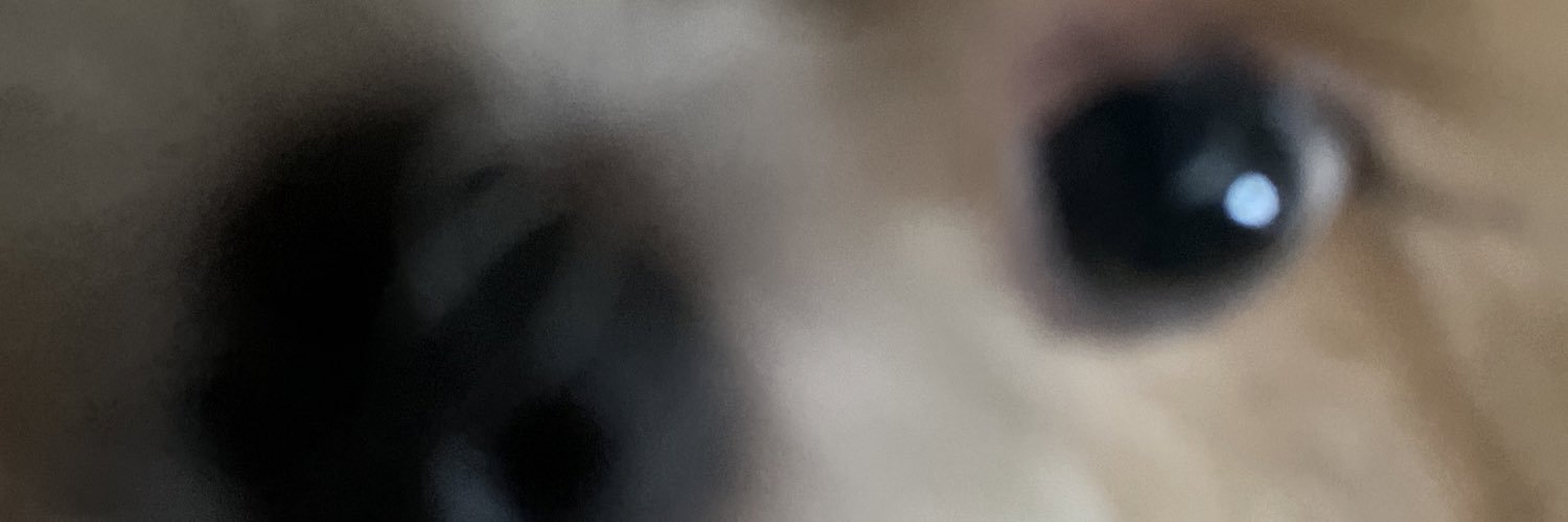 guillo10's profile banner image