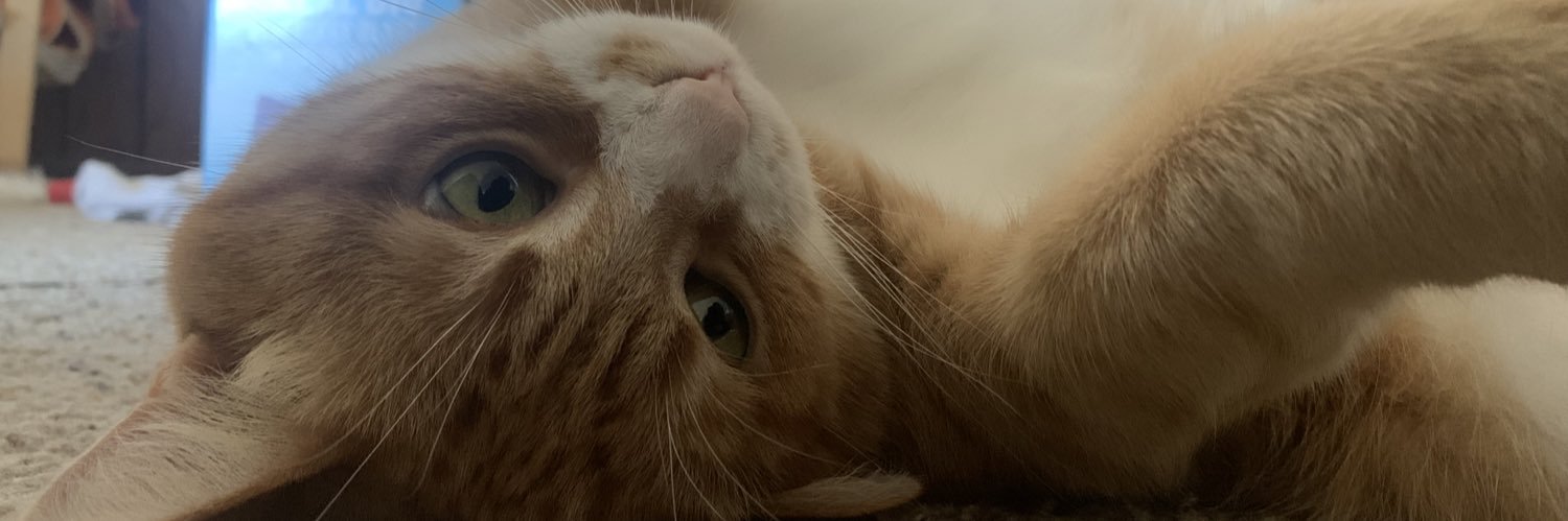 morganrwlove's profile banner image