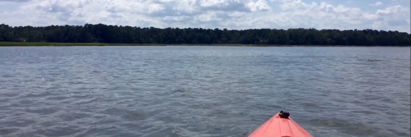 Ellllyn's profile banner image