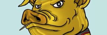 anel banner