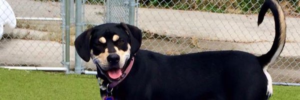 carlymigdall Profile Banner