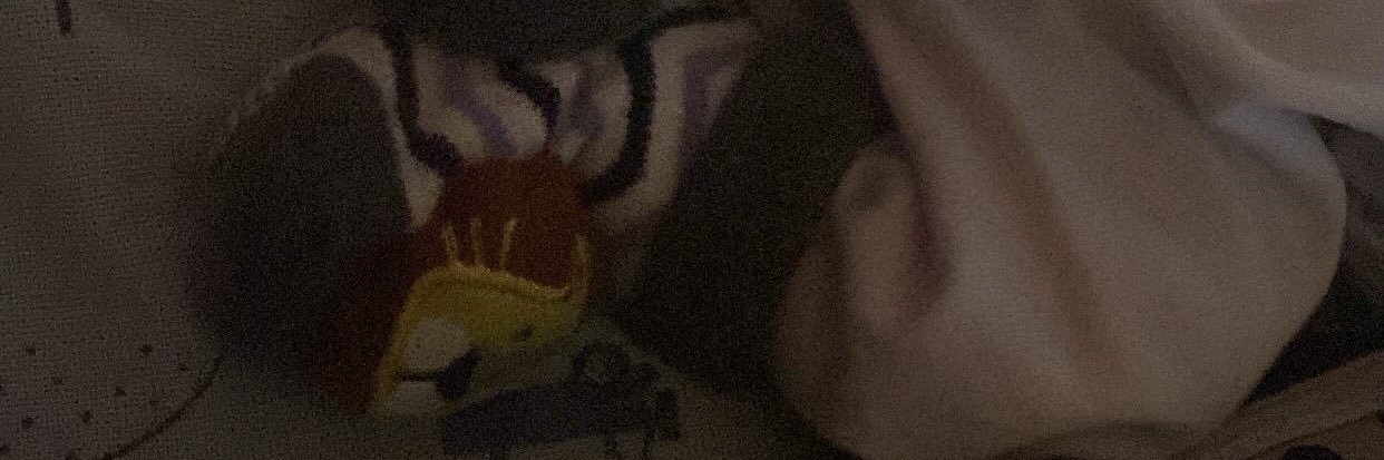 lumarquez's profile banner image