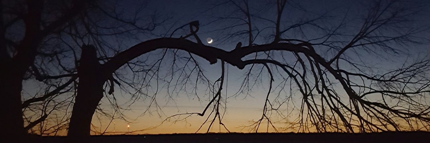 Kristin Kingbay banner