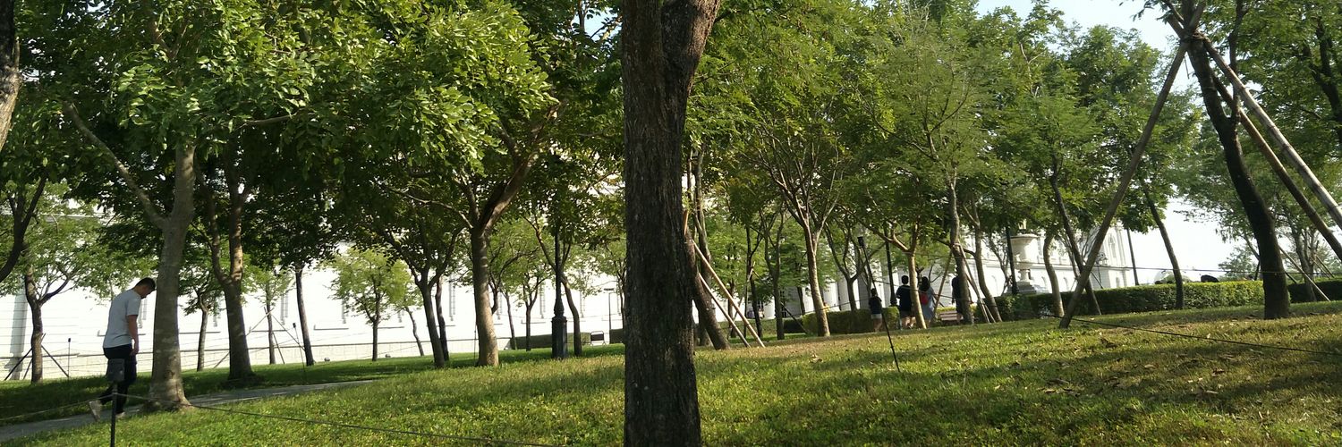 bowei0531's profile banner image