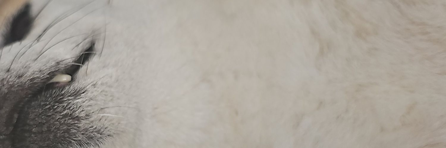 keika9999's profile banner image