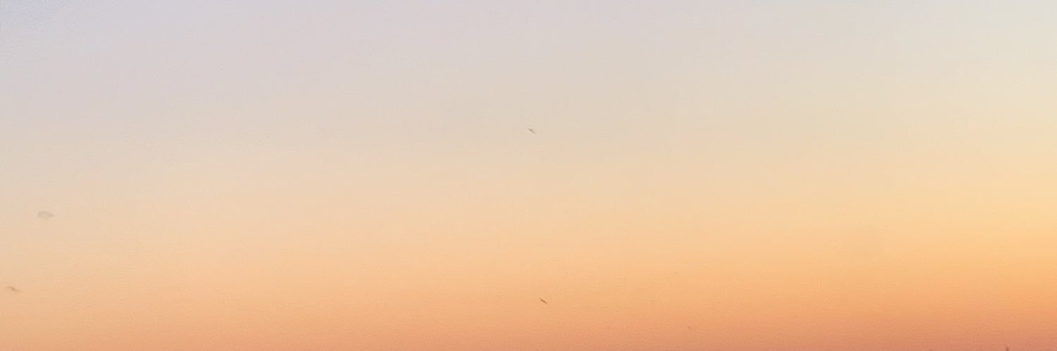 McMangoLassi's profile banner image