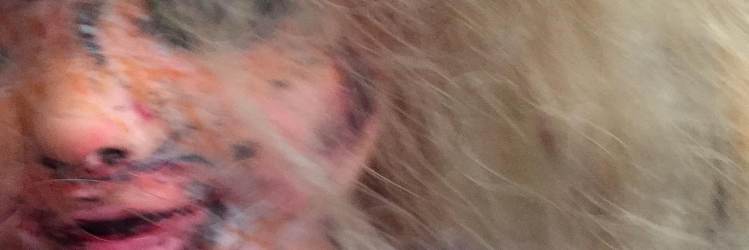 Darkfletcher's profile banner image