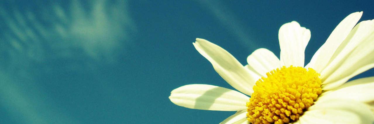 wortsprung's profile banner image