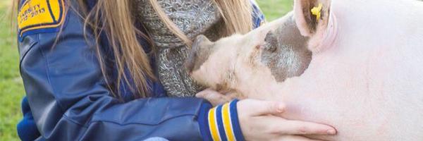 ShowinQuotes Profile Banner