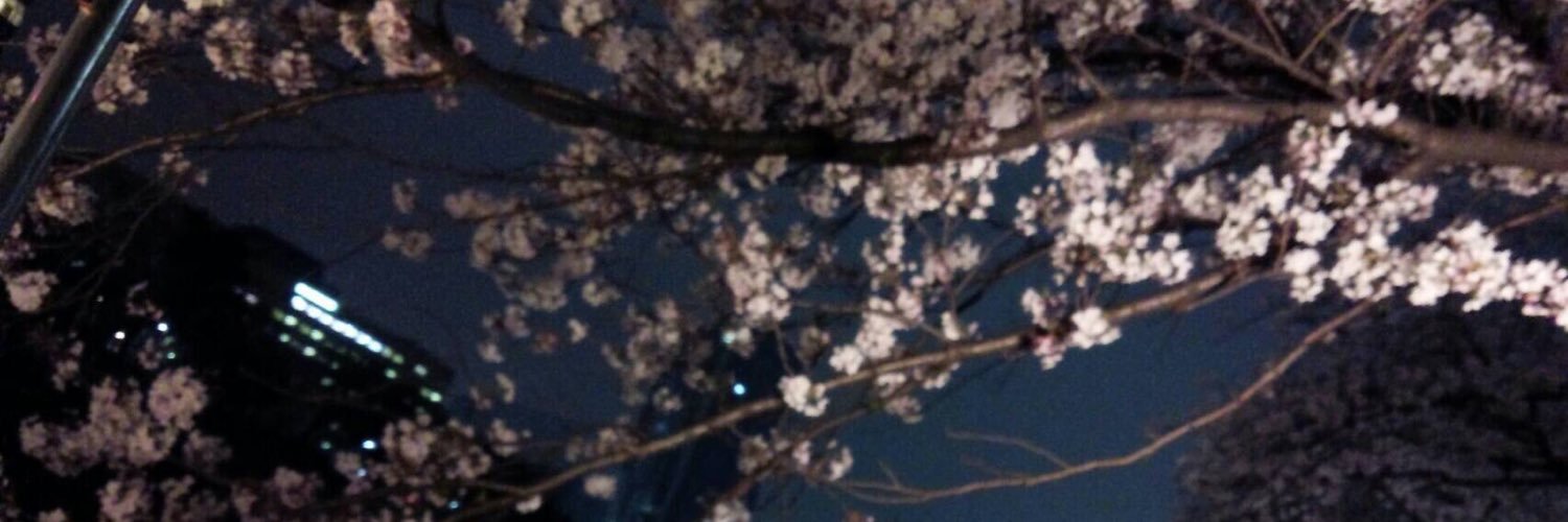 1111ryu_k's profile banner image