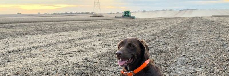 Austin Huggins banner