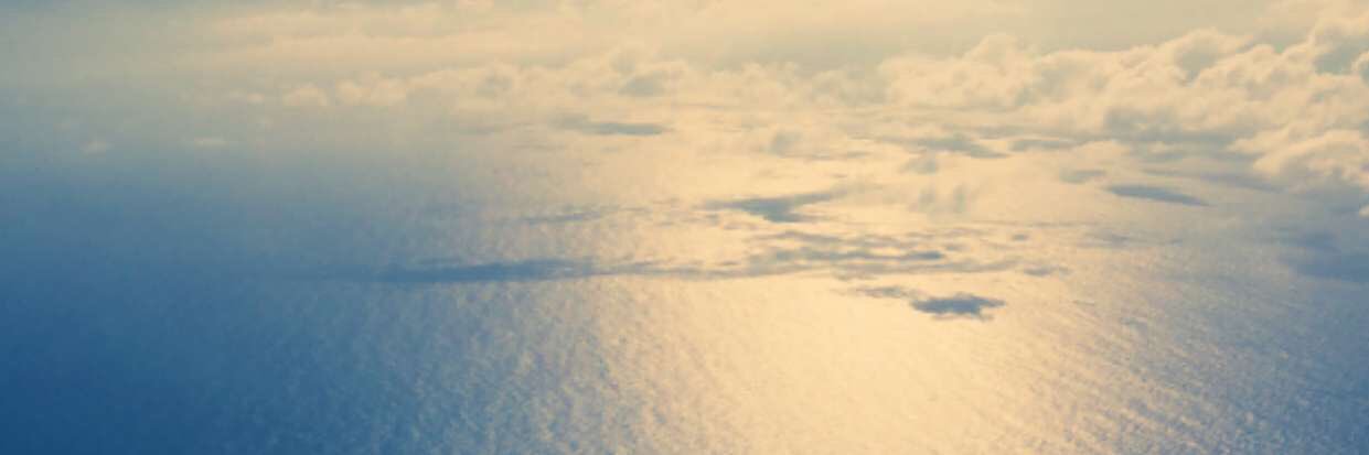 alemonki's profile banner image