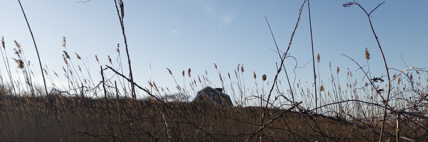 Alex Alspaugh banner