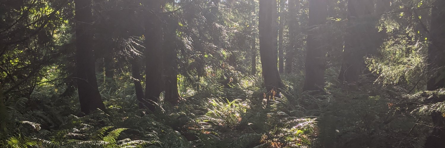 JessicaMMelton's profile banner image