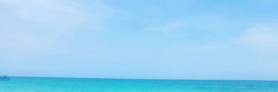 marcosflior's profile banner image