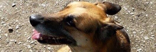 martcha_thomas's profile banner image