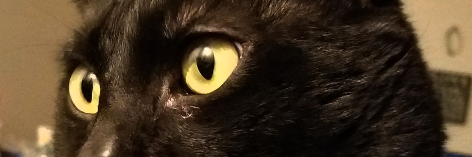 Babbles89's profile banner image