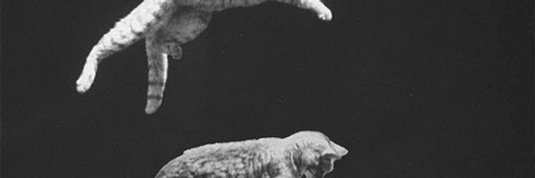 aaveronikaa Profile Banner