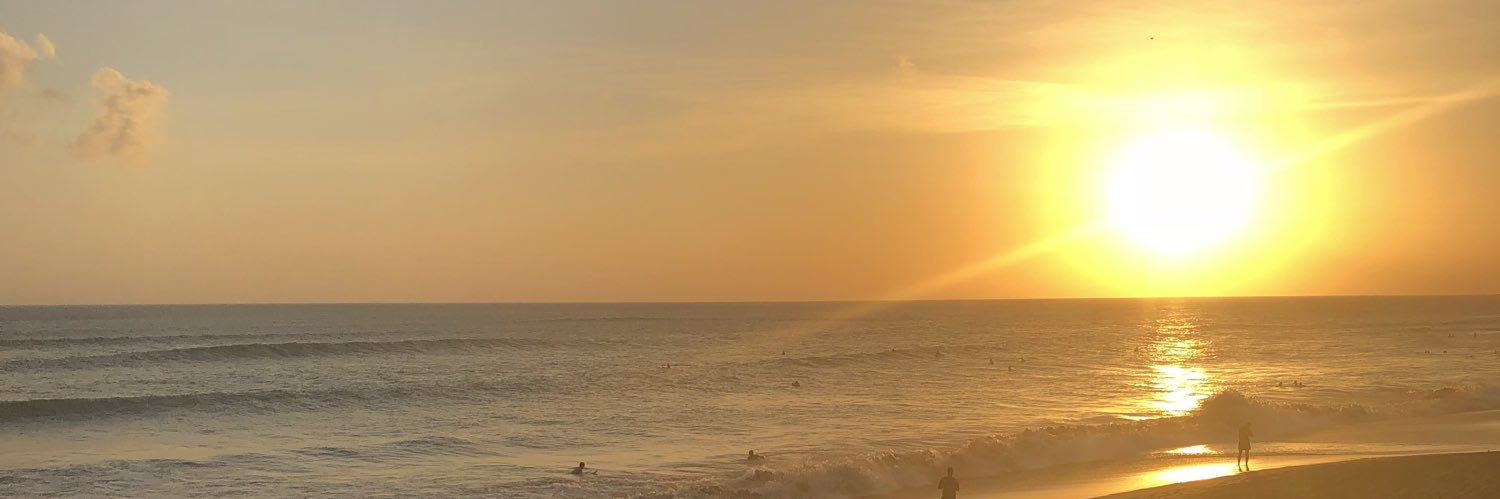 RoxanneHesh's profile banner image