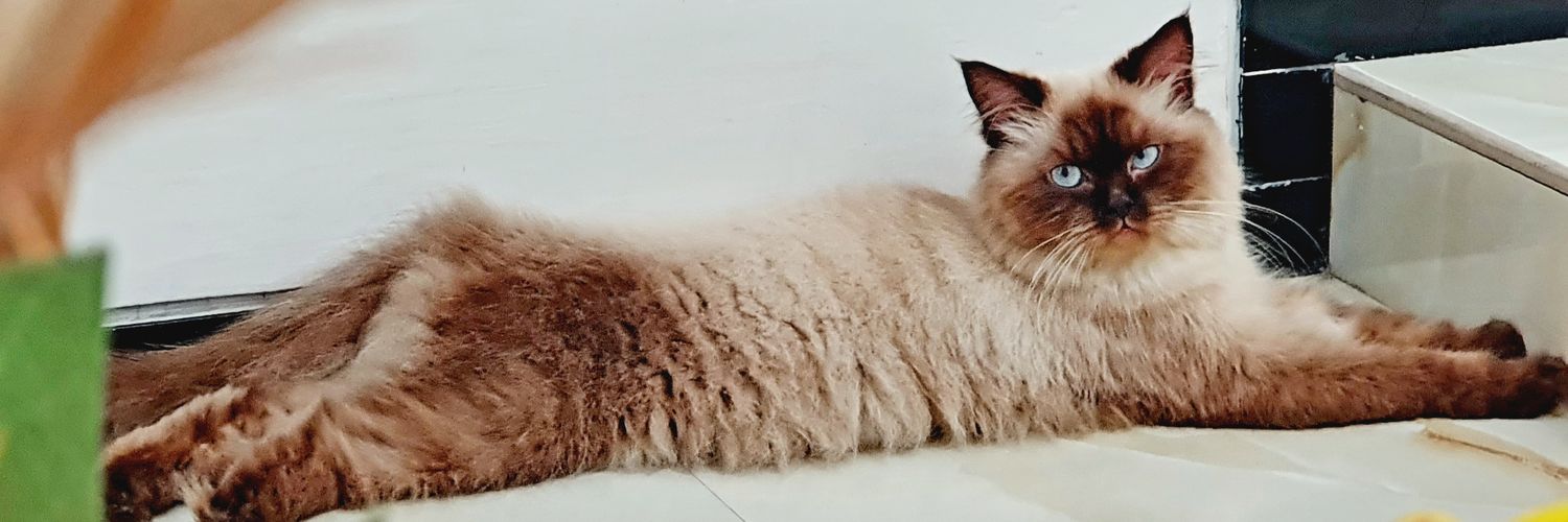 FahmiBaag's profile banner image