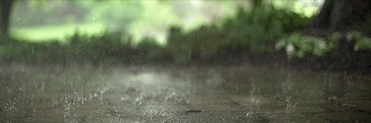 _afnan_nasser's profile banner image