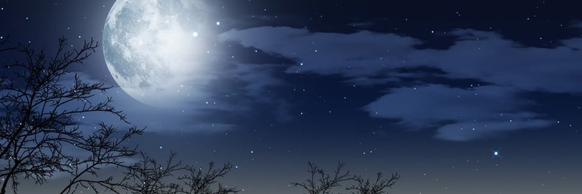 mln_92's profile banner image