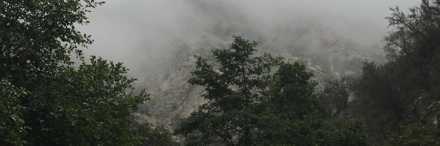 casshatch's profile banner image