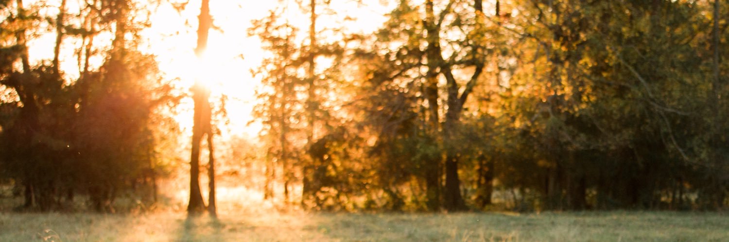 Brandi Locker banner