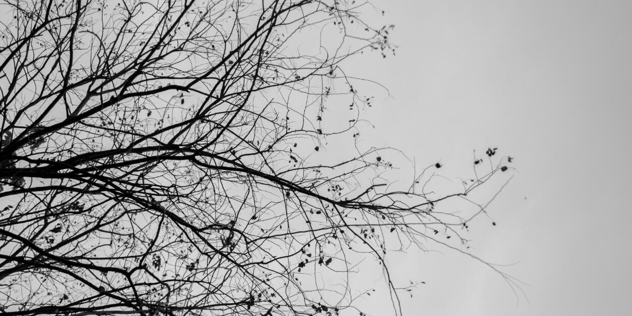 al_fiansah's profile banner image