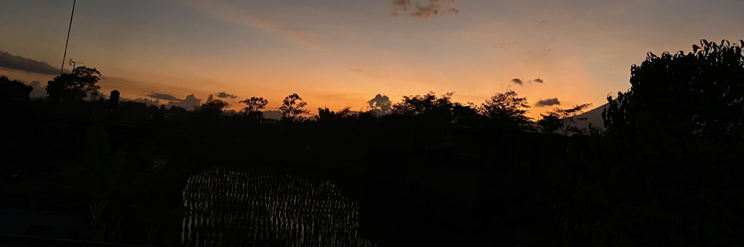Ellaranny's profile banner image