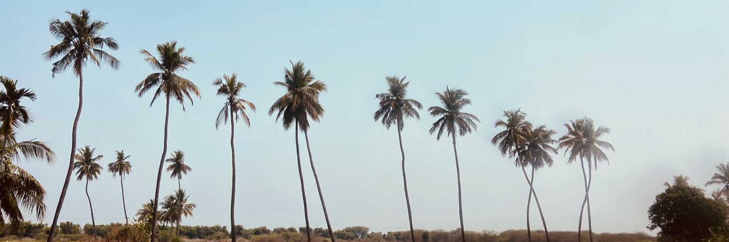 Hashwa007's profile banner image