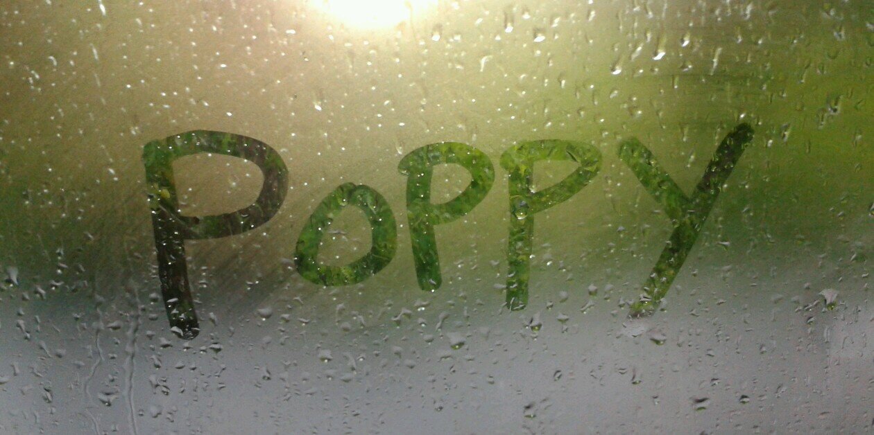 popy andianto banner