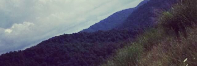 Kimmmm_W's profile banner image