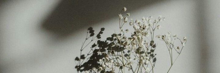 rianfadhillah's profile banner image