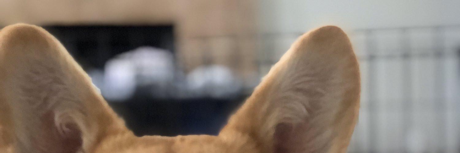 ShowMeUrTweet5's profile banner image