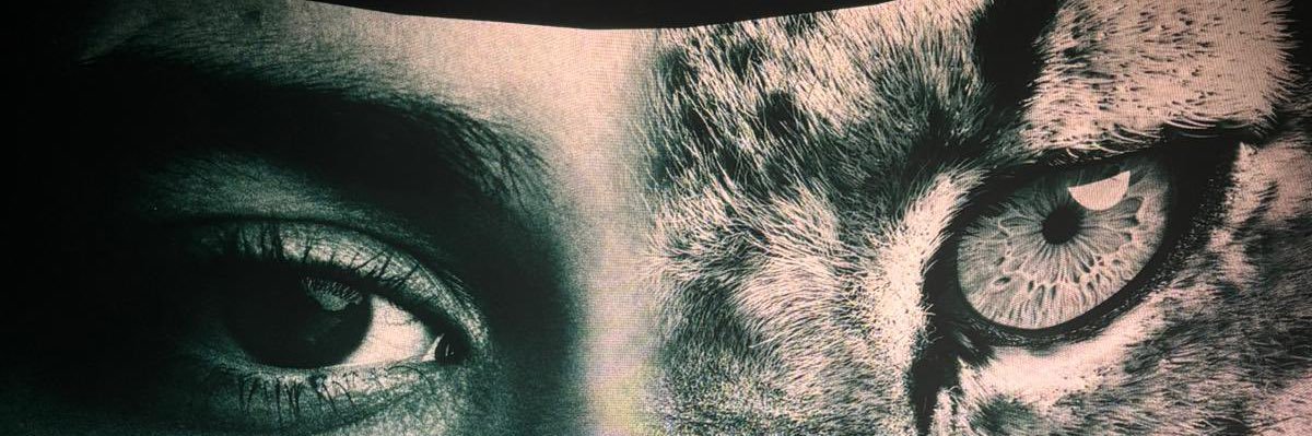 _alvessju's profile banner image