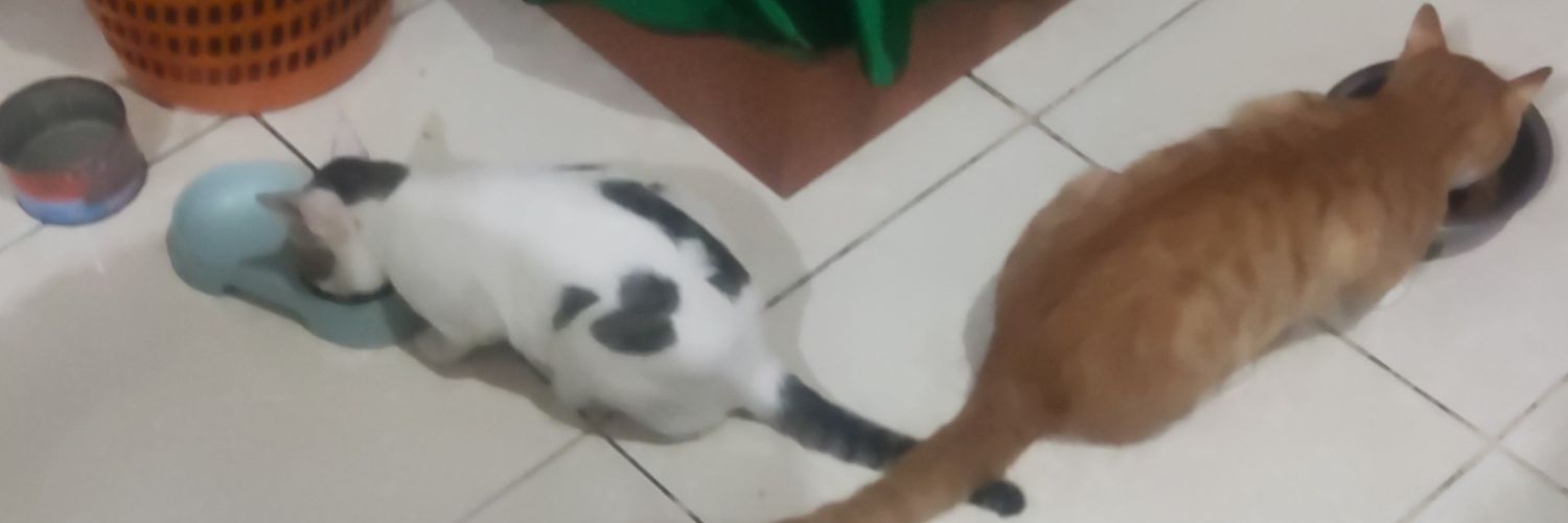 dodo_nando04's profile banner image