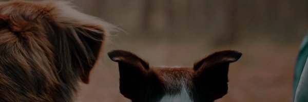 IngridMatinez's profile banner image