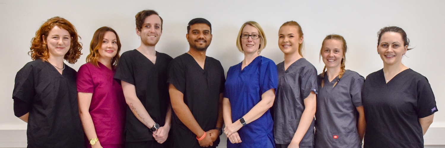 BSMSanatomy's profile banner image