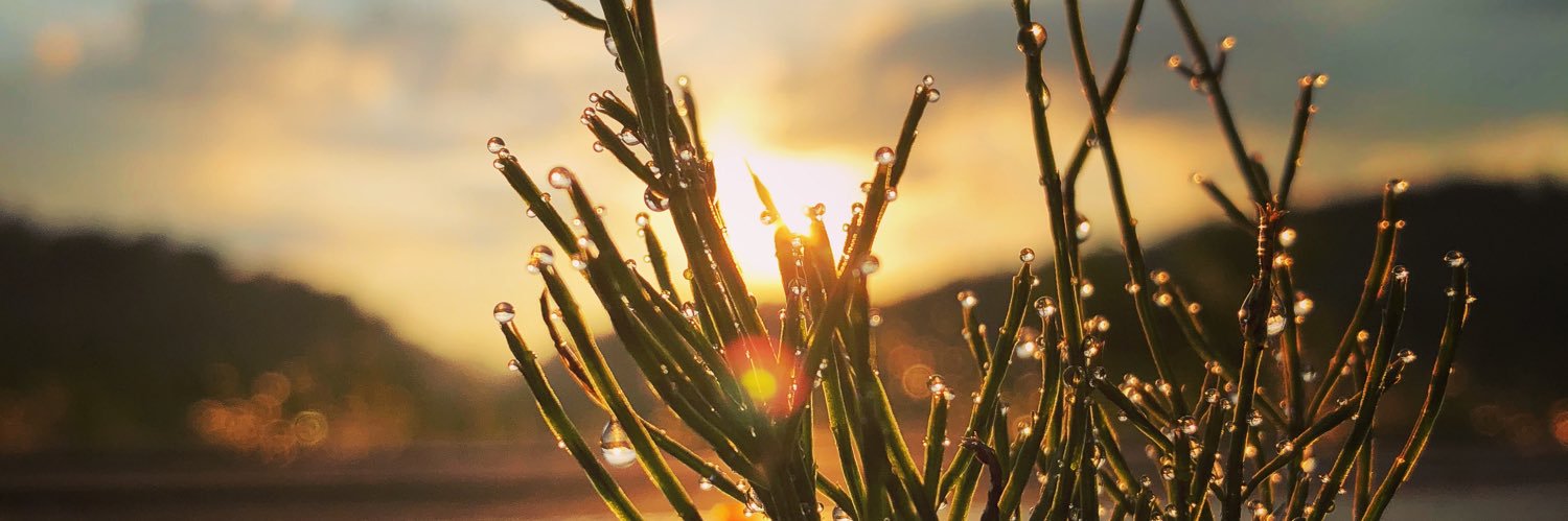 Christian Peters banner