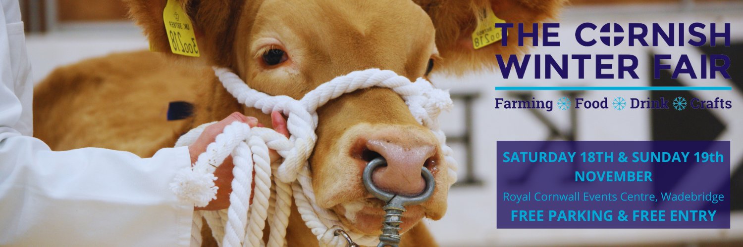 Cornish Winter Fair banner